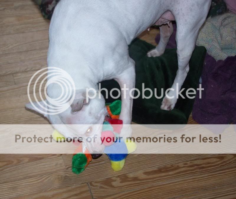 chasertoy1.jpg