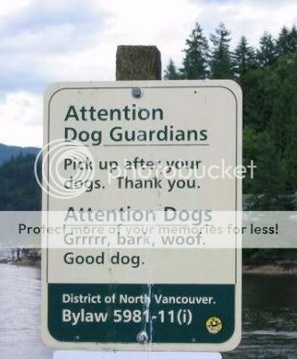 funny_sign_dogs.jpg