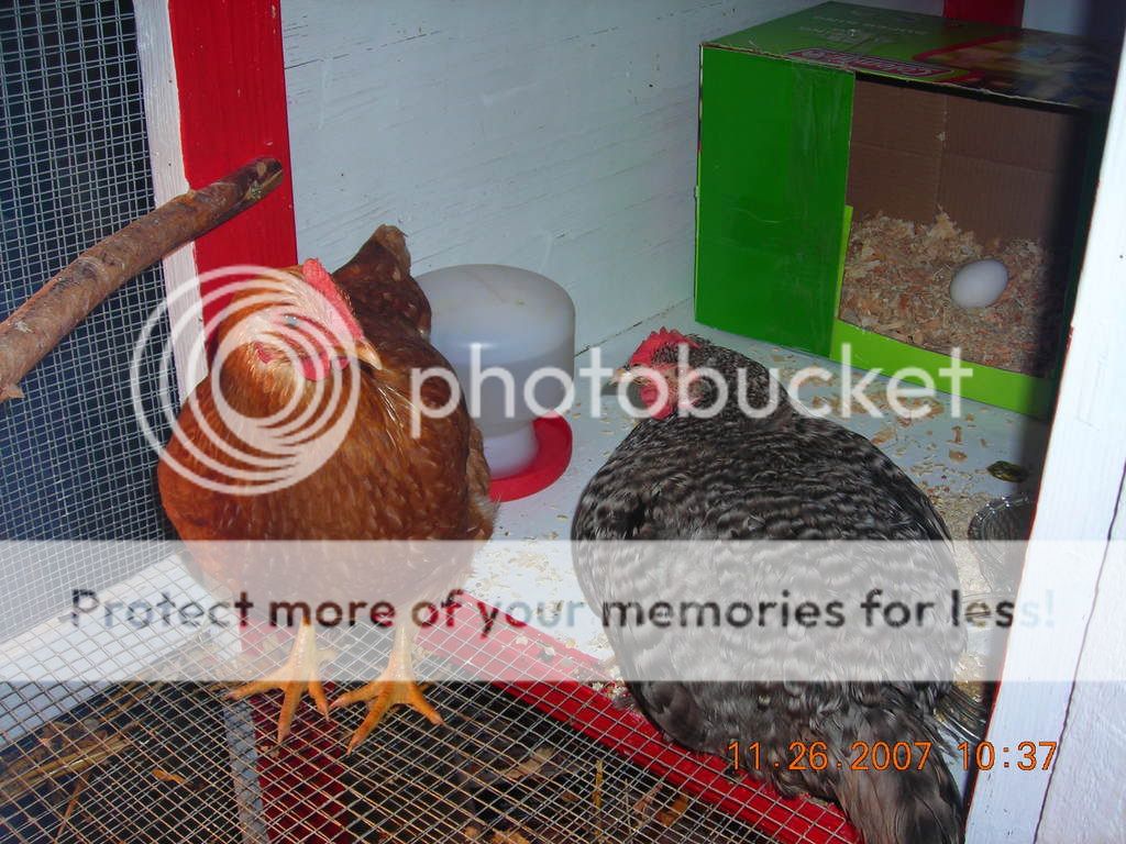 DSCN1440.jpg