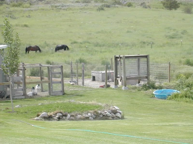 DSCN4380.jpg