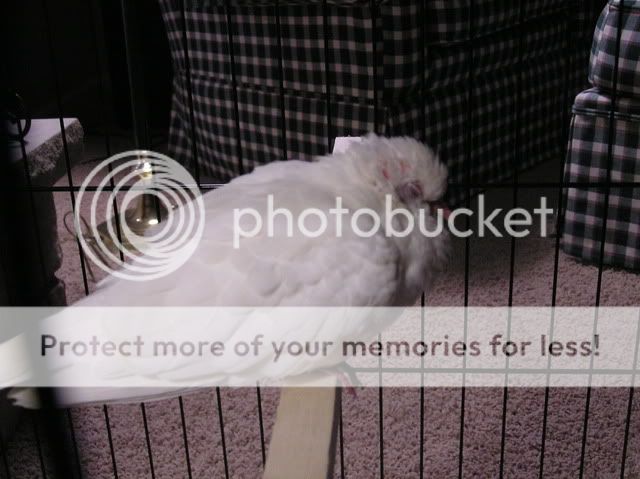 P1010017-2.jpg