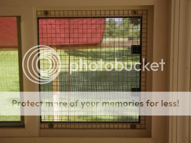 screen2.jpg