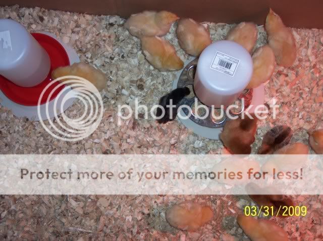 100_1269.jpg