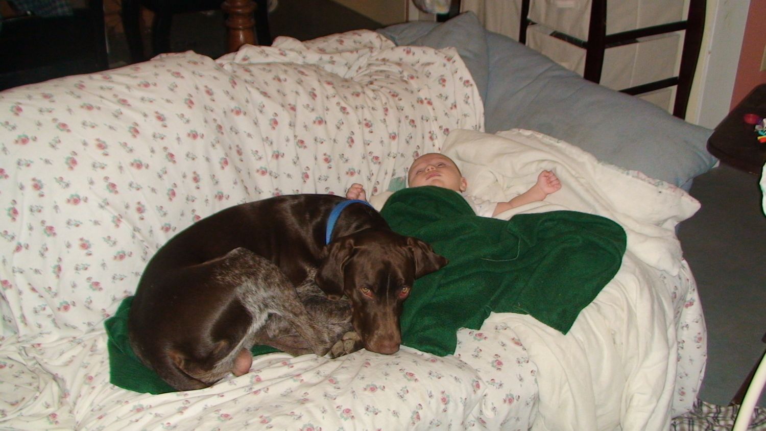 900x600px-LL-6caa1f90_DSC01229.jpeg