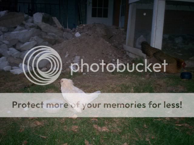 100_2012-1.jpg