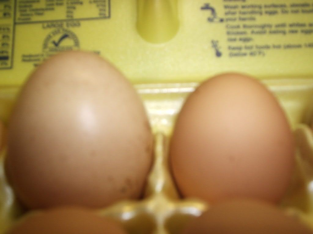 MyPictures084.jpg
