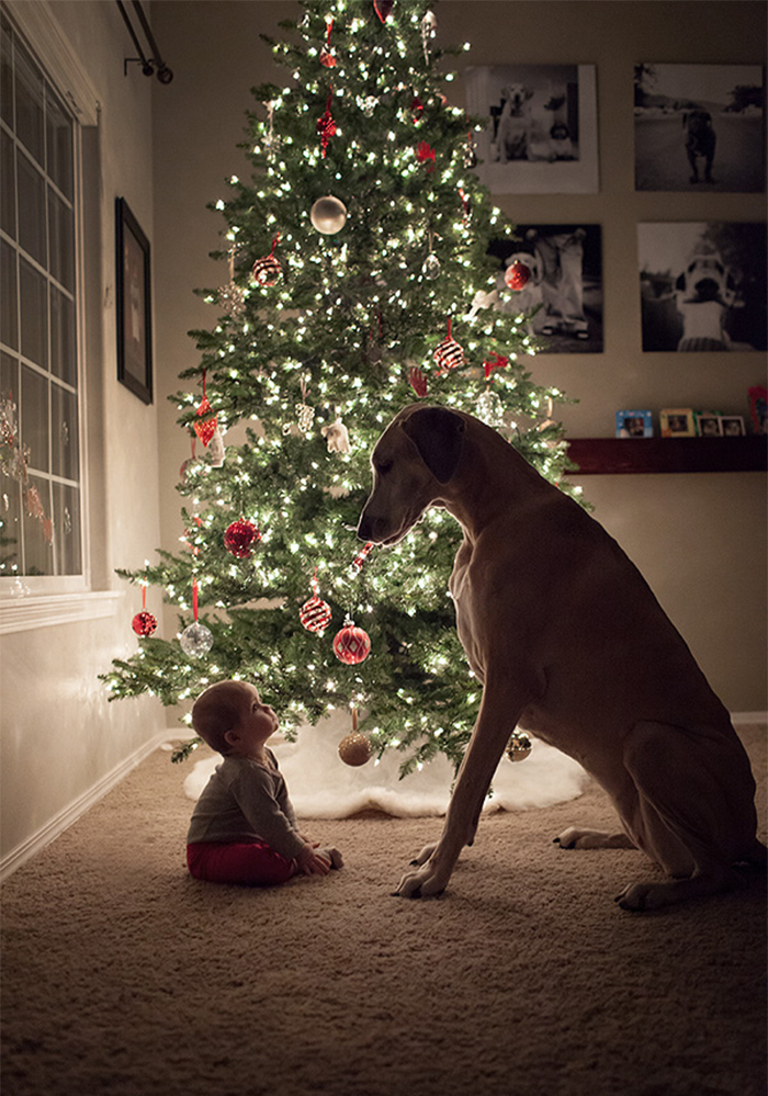 every-kids-need-pets-37__700.jpg