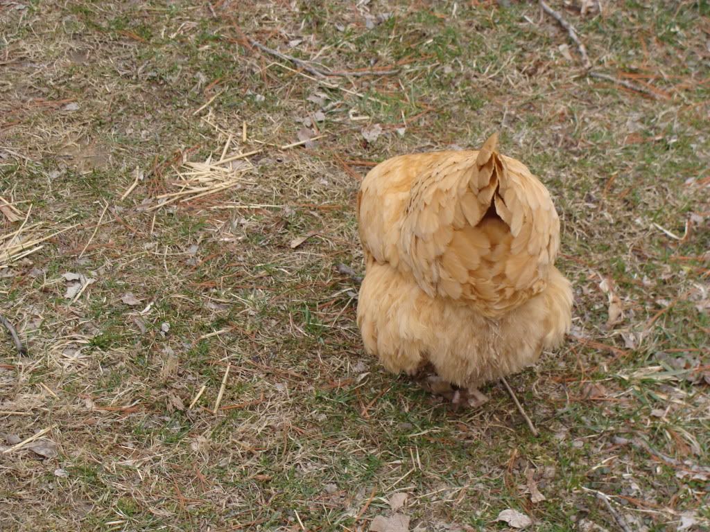 DSC02641.jpg