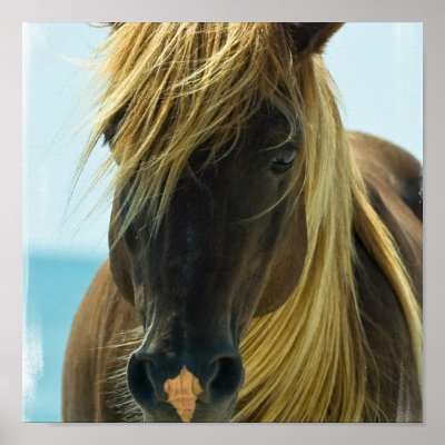 mustang_horse_poster_print-r75e28fe74a3641e19cbd617c1591155d_wad_400.jpg