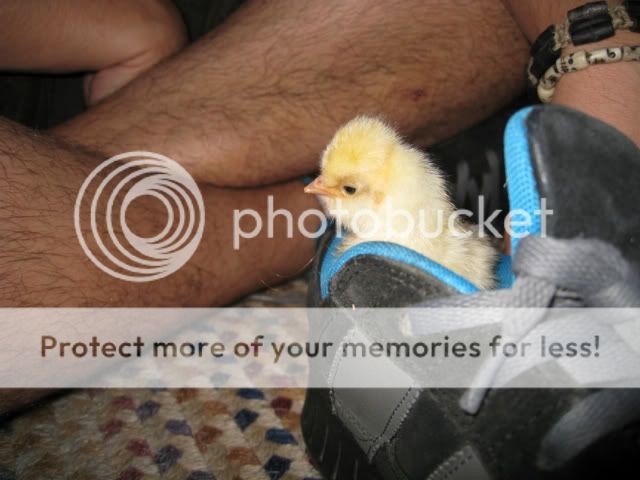 Picture152.jpg