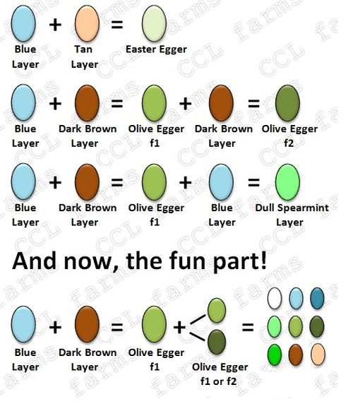 98e8e02f6d89ca62403410f3bfac6fec--olive-egger-the-thread.jpg