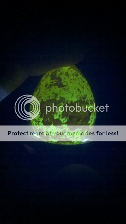 photobucket-3254-1321543182685.jpg