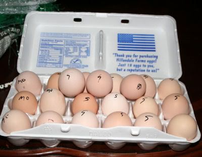 eggs3.jpg