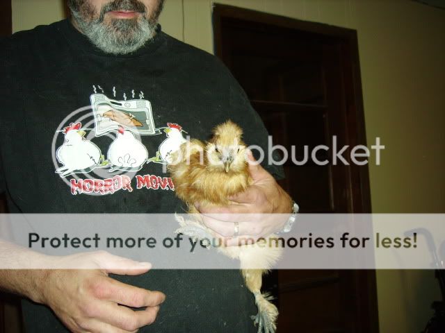 IMGP0961.jpg
