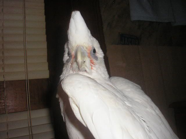 P1010045-1.jpg
