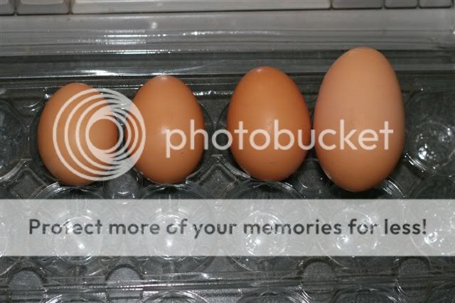 Picture.jpg