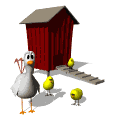chicken_proud_mama.gif