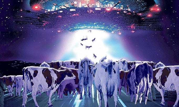 cows-space.jpg