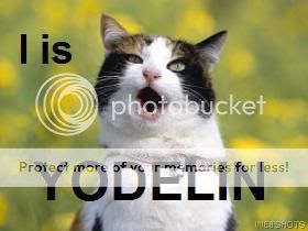 funny.jpg