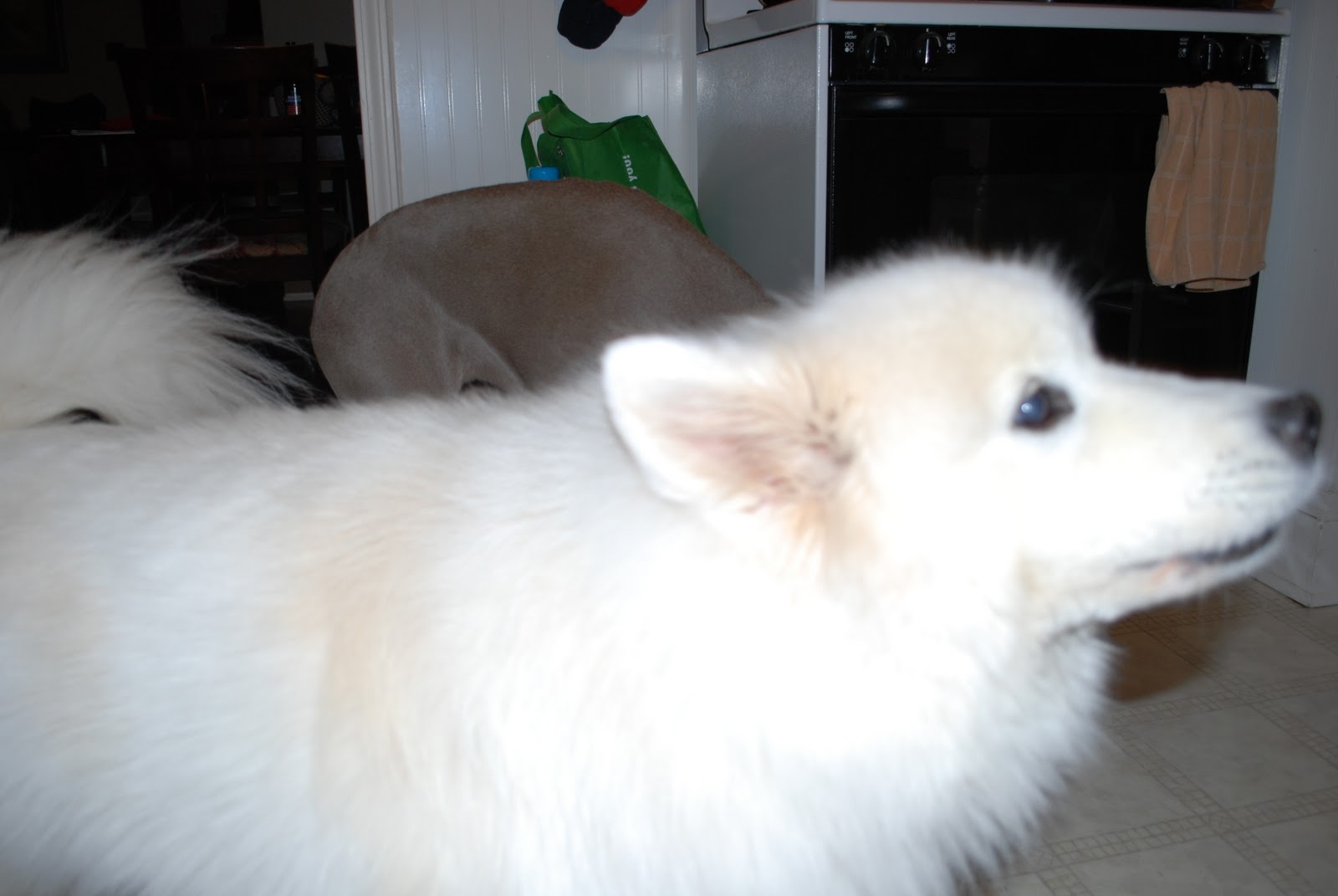 DSC_0477.JPG
