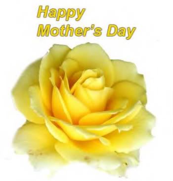 mothers-day-rose.jpg