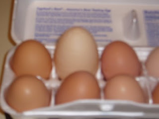 P1010001_4.JPG