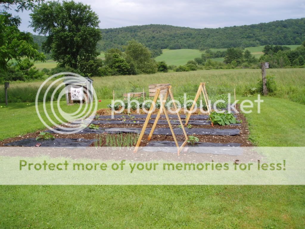 garden06-30-09003.jpg