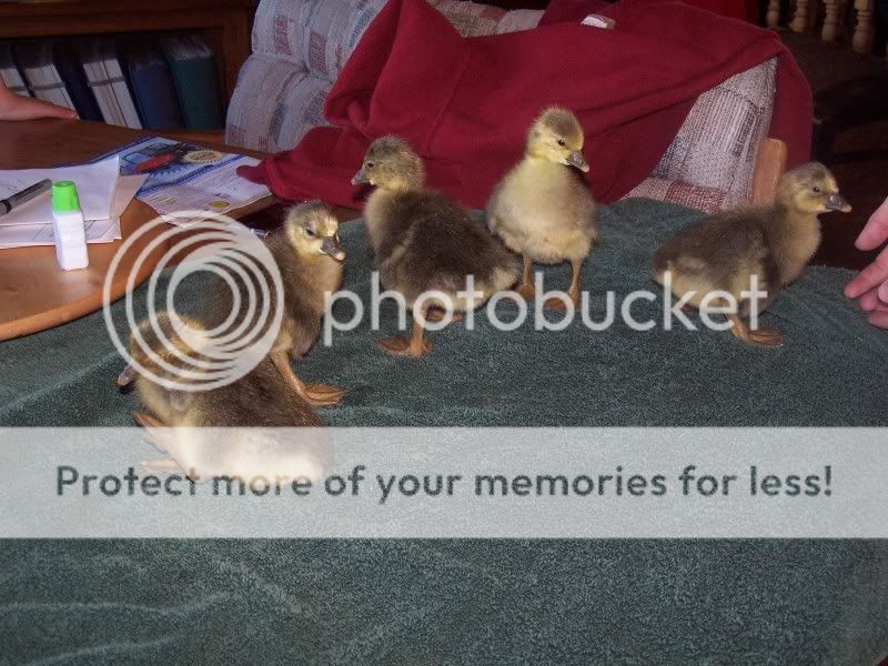 100_6168.jpg