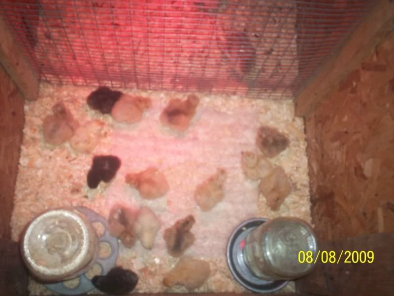 100_2353.jpg
