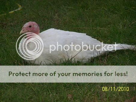 100_5708.jpg