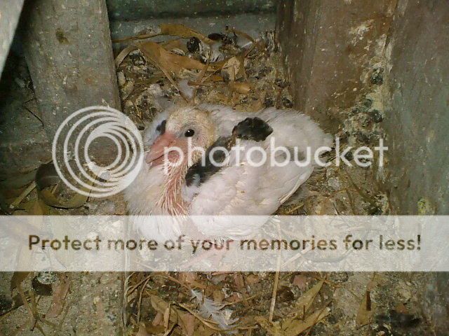 DSCF3143.jpg
