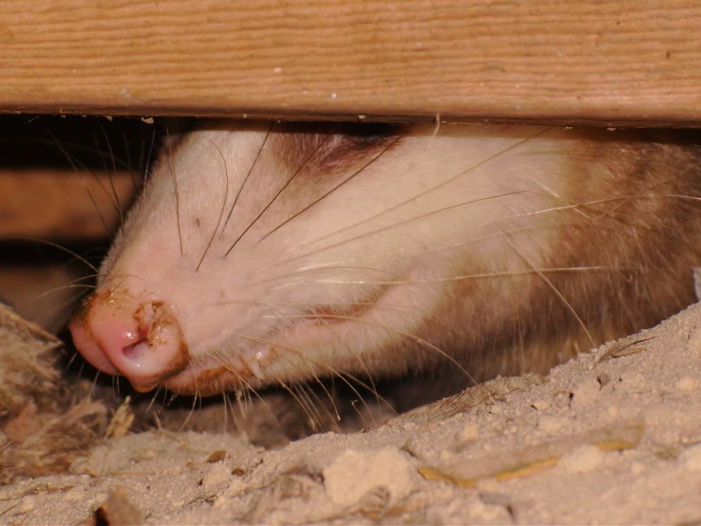HPIM9726.jpg