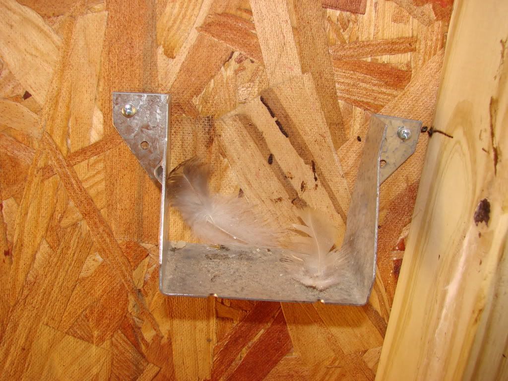 DSC03770.jpg