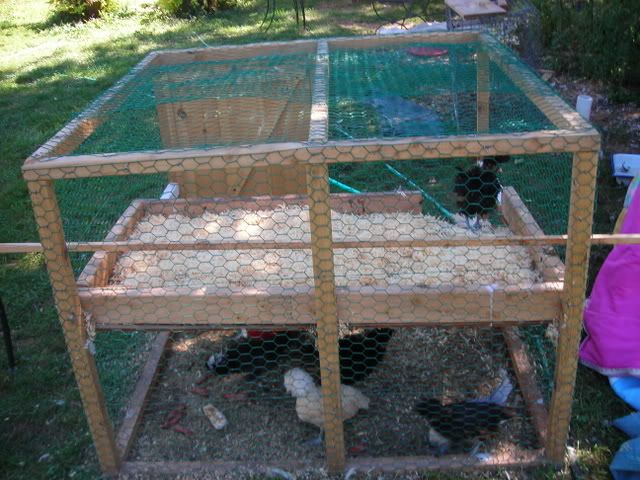 DSCN0736.jpg