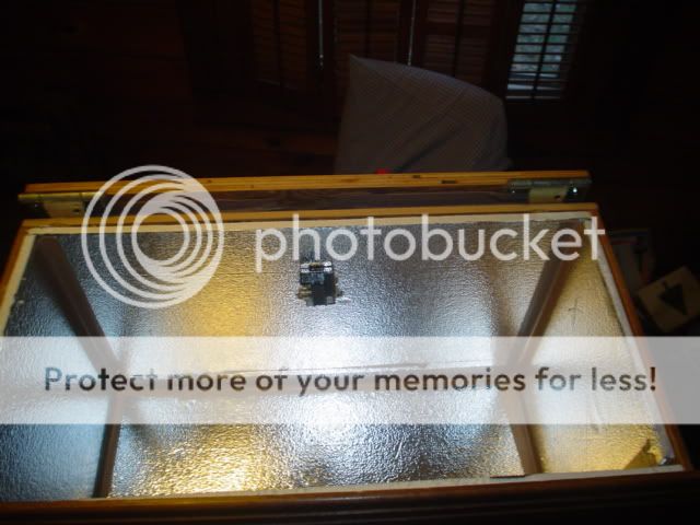 incubatorpics002.jpg