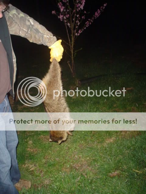 spring2010009.jpg