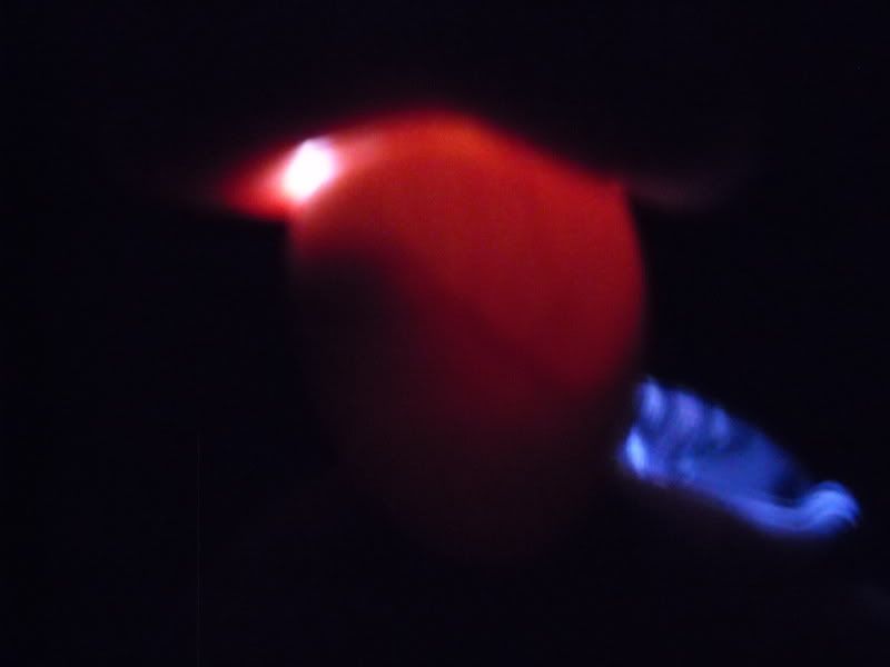 day16eggs023.jpg