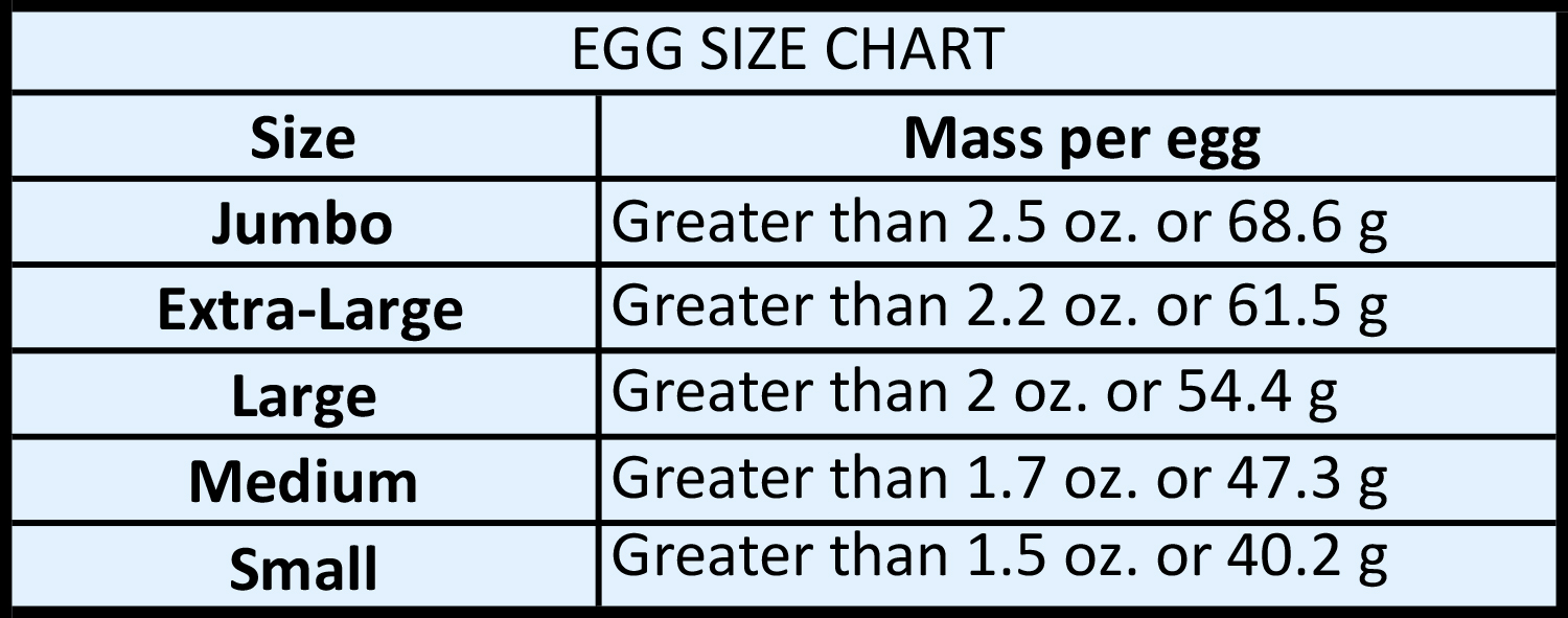 EGG-CHART.jpg