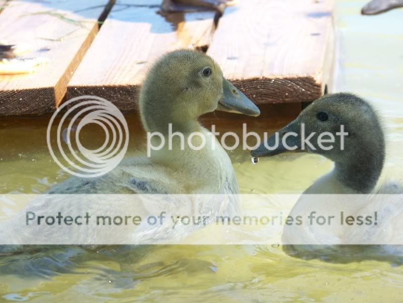100_5766.jpg