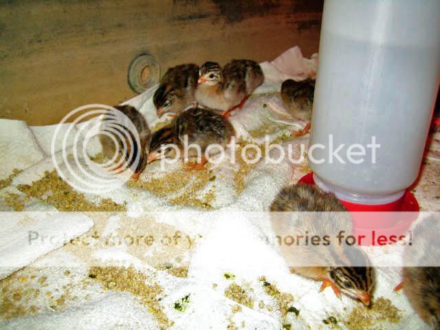 IMG_0575_edited.jpg