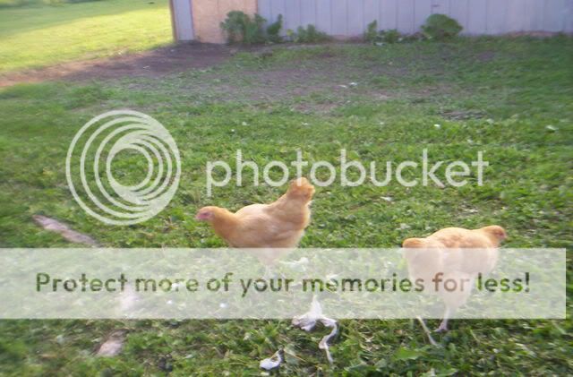 100_1479.jpg