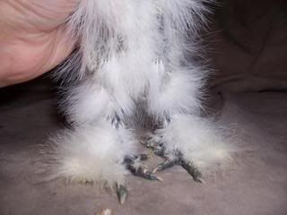 100_3110.jpg