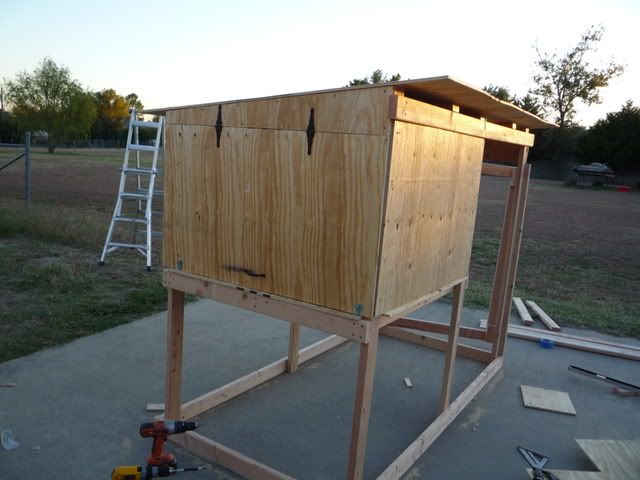 P1010139.jpg