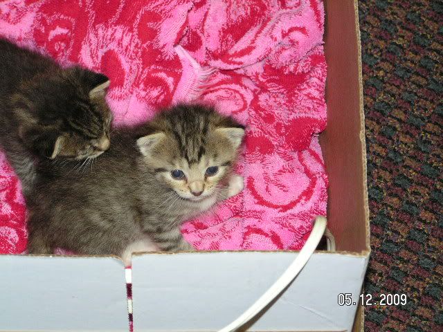 PICT2328.jpg