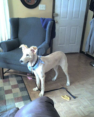 BoyPost1stGrooming.jpg