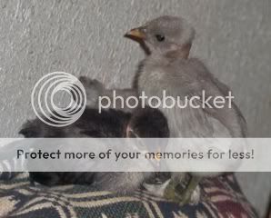 file-28.jpg