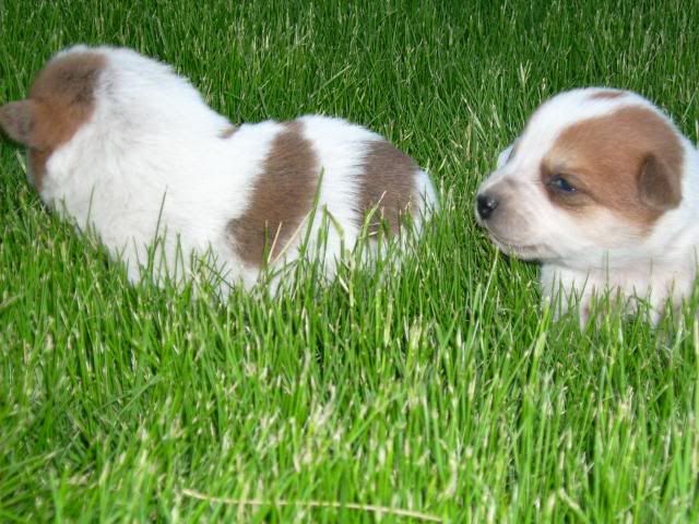 march2008005.jpg