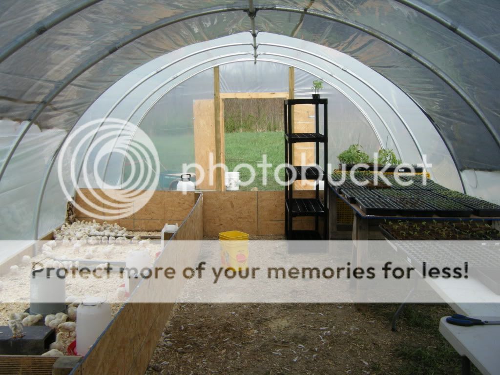 DSCF2758.jpg