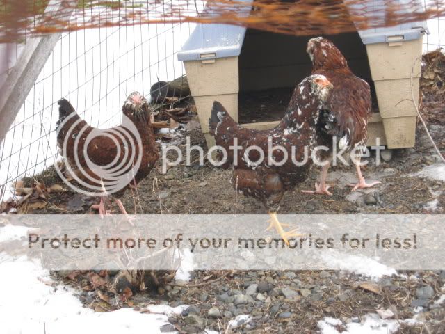 IMG_0164.jpg