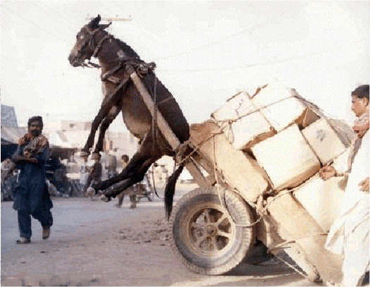 Donkey-Carried-by-the-Cart.png